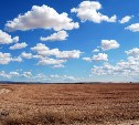 "Облачно, зато без осадков": погода в Сахалинской области в пятницу 22 августа 