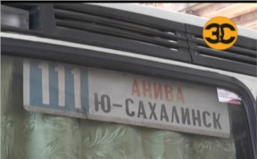 Общество