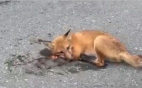 Общество