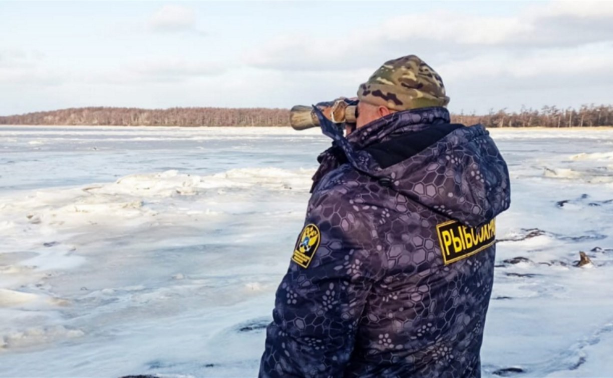Сотрудники Росрыболовства на Сахалине за неделю составили 16 протоколов об административных правонарушениях