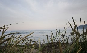 Общество