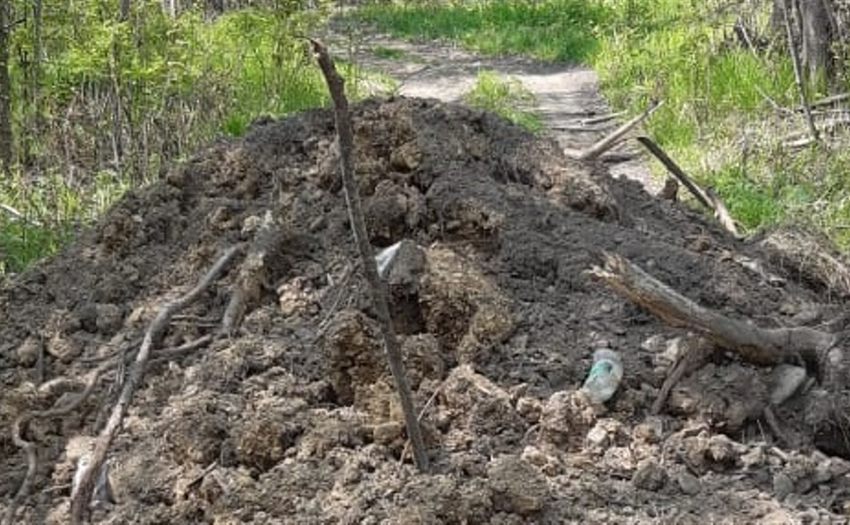 Куча мусора перегородила дорогу в водоохраной зоне в Смирных