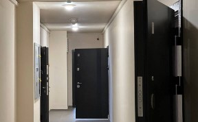 Общество