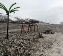 Необычное на Курилах: сильный ветер с океана превратил побережье в "тропический пляж"