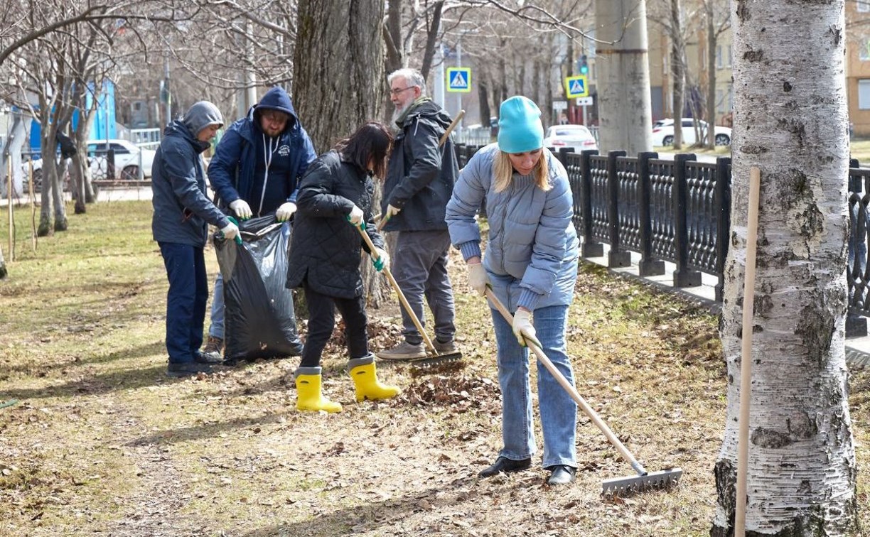 В Южно-Сахалинске завершился месяц чистоты