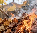 Дачникам напомнили о штрафах за неправильное сжигание листвы