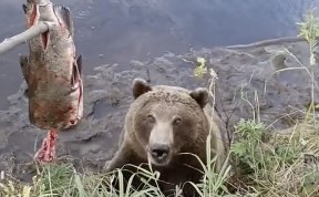 Общество