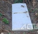 Зарытые в землю холодильники с кровью обнаружили на Сахалине