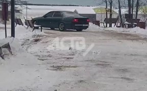 Происшествия