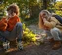 Почему лето влияет на учёбу сильнее, чем другие сезоны