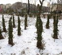 Городские скверы и фонтаны Южно-Сахалинска готовят к зиме