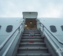 Опасная встреча в облаках: самолет из Южно-Сахалинска вернулся в аэропорт из-за столкновения с птицей
