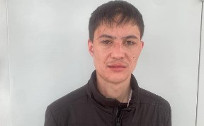 Происшествия