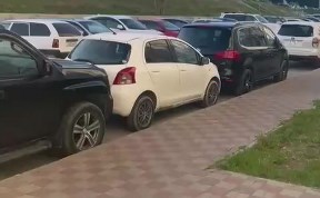 Происшествия