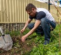Весенний подарок: южносахалинцы высаживают во дворах сакуру, клёны и липы