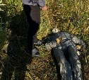 Убийство в Аниве: мужчина избил и задушил сожительницу 
