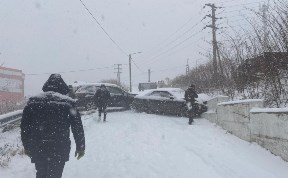 Происшествия