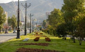 Общество