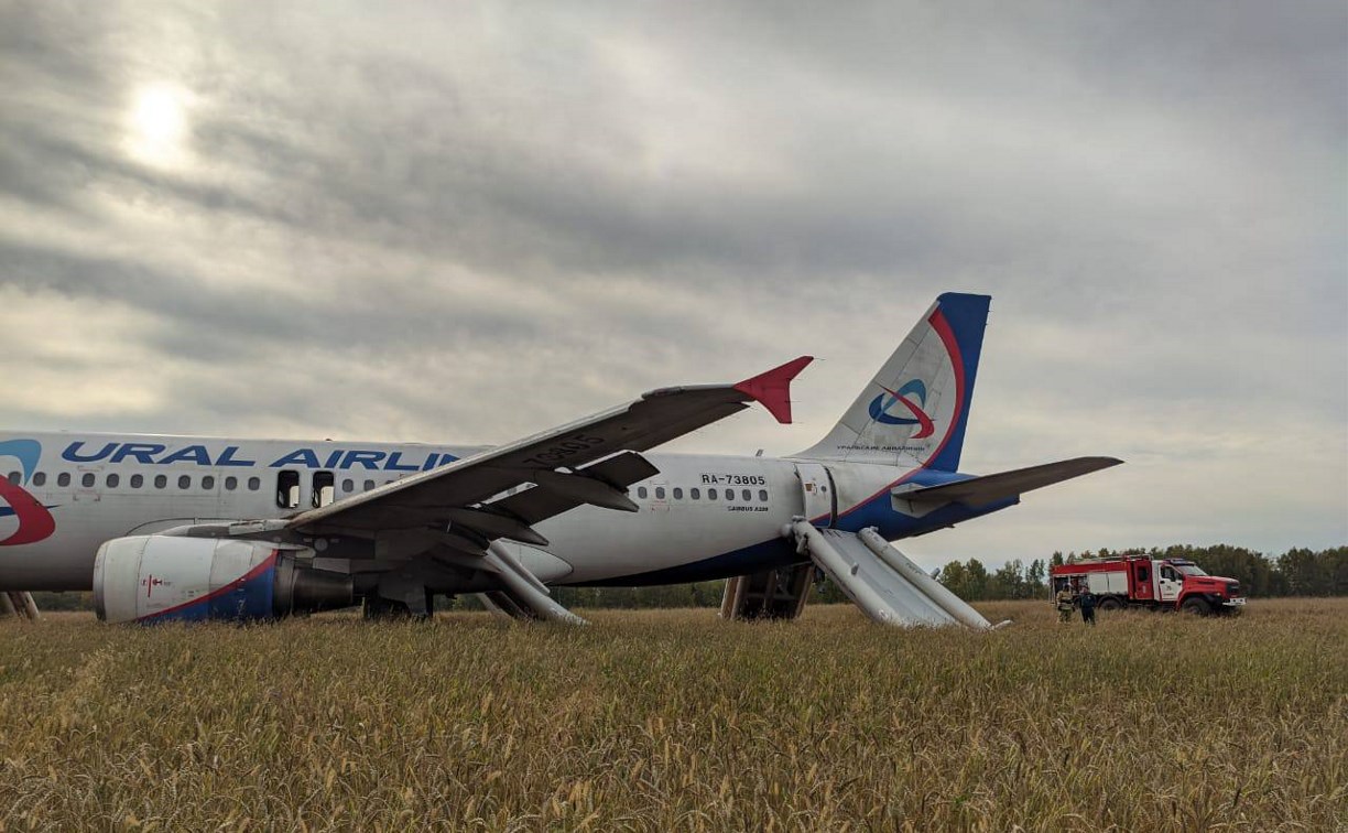 Высший пилотаж: самолет, летевший из Сочи в Омск, экстренно приземлился на поле пшеницы