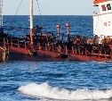 Владелец севшего на мель на Сахалине танкера "Надежда" возместит Невельску более 98 млн рублей 