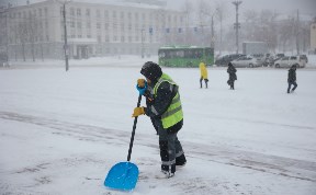 Общество