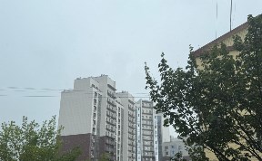 Общество