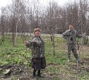 Акции «Лес Победы» и «Всероссийский день посадки леса» проходят на Сахалине