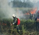 Ответственность за ликвидацию пожаров будут нести главы районов Сахалинской области 