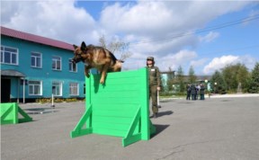 Общество