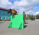 На Сахалине прошли соревнования кинологов со служебными собаками