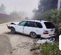 Две девочки пострадали в ночном ДТП с несовершеннолетним водителем в Южно-Сахалинске