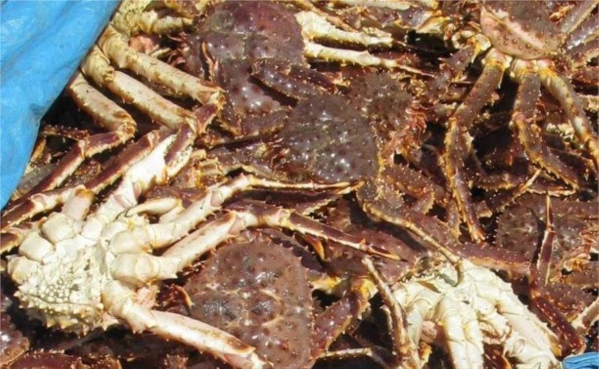 Шторм не спас от наказания: попытка собрать крабов на берегу обернулась для сахалинцев судом