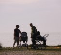 В России могут создать Службу поддержки отцов-одиночек
