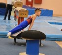 Сахалинские гимнасты стали призерами соревнований в Саранске