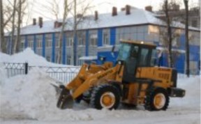 Общество