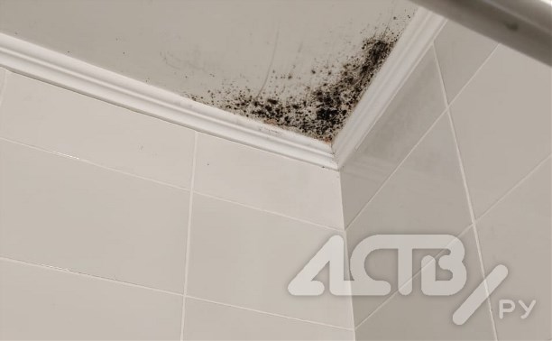 Вонь, грибок и трещины: жильцов аварийного дома в Долинске переселили в квартиры с плесенью