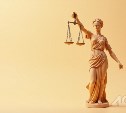 Сахалинец с помощью поддельных документов купил за 27 тысяч рублей участок, который стоит почти миллион
