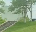 Стало известно о судьбе медвежонка, бегавшего по городу на Сахалине