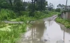 Происшествия
