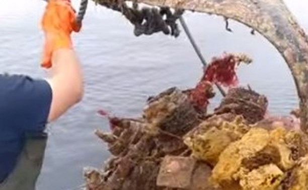 Сахалинцы достали со дна моря двигатель неизвестного самолёта