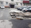 Во дворе Южно-Сахалинска люди месяц запинаются о сбитый козырек