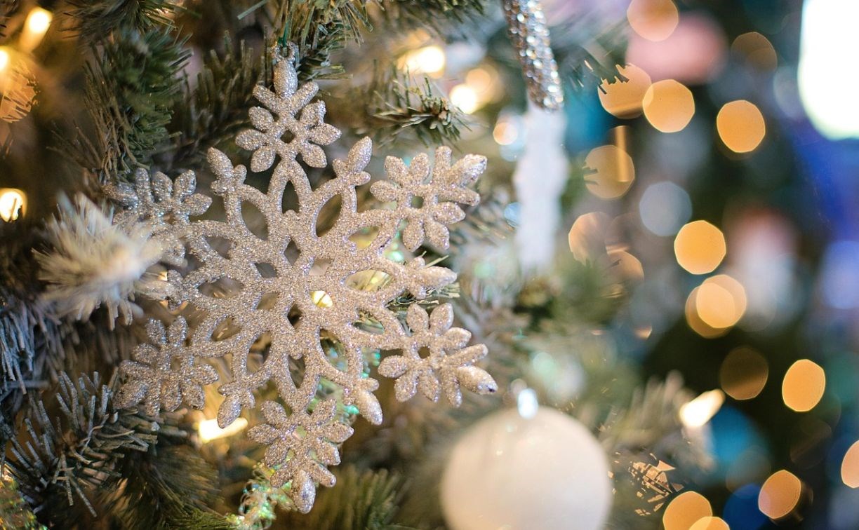 В России выявили всплеск мошенничества с "заснеженными ёлками"