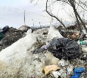 "Собаки собак едят": мусорную площадку в СНТ Южно-Сахалинска жители называют трэшем