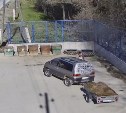Намусорил и уехал: власти Долинска ищут нарушителя по номеру автомобиля