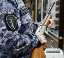 У браконьера на Сахалине изъяли ружье