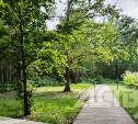 Ещё один тёплый осенний день на Сахалине: чего ждать от погоды 7 сентября