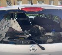 Неизвестные из рогатки выстрелили в окно автомобиля южносахалинки