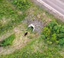 На Сахалине медведь спрятался от людей в трубе под дорогой