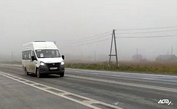 "Опять мимо": жители Березняков не могут заманить автобусы на сельские остановки
