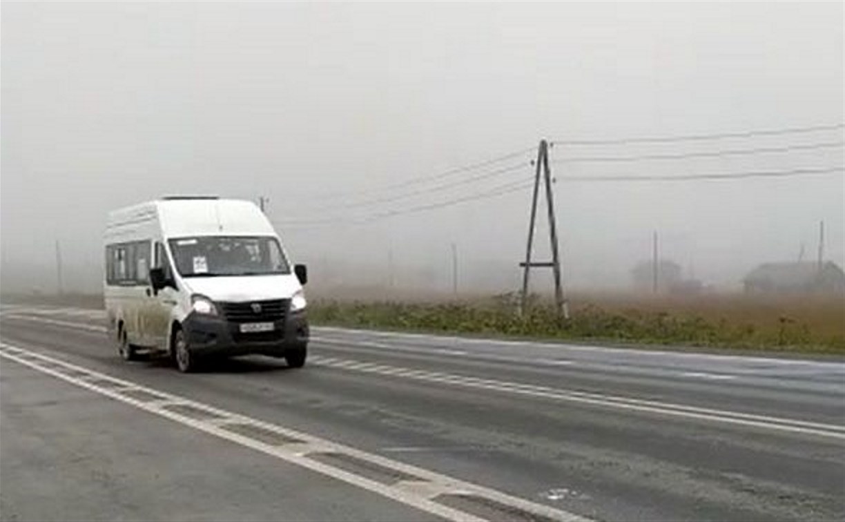 "Опять мимо": жители Березняков не могут заманить автобусы на сельские остановки